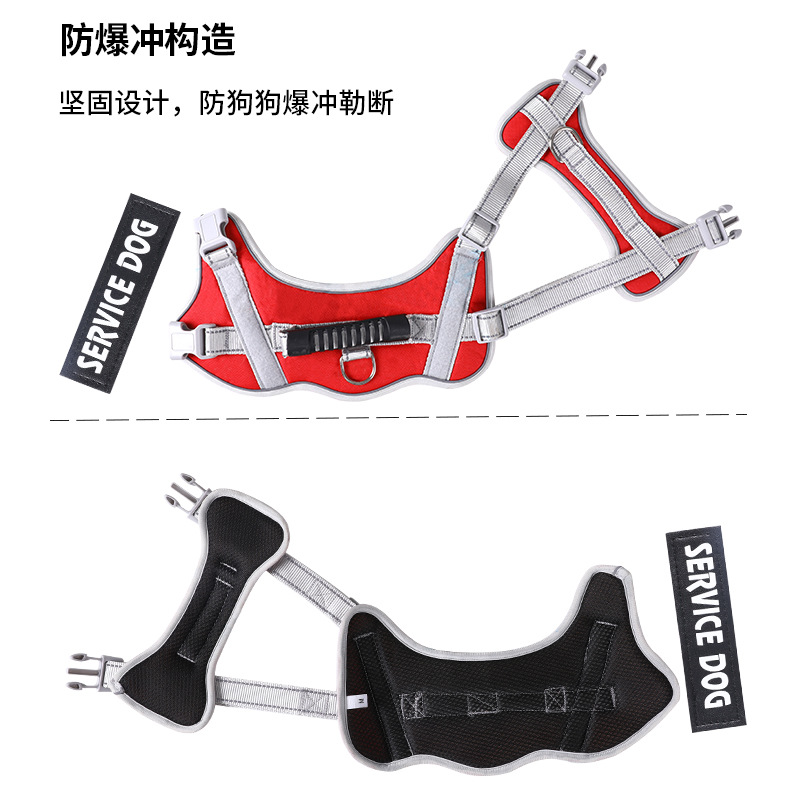 狗链牵引绳/宠物/胸背/狗狗鏈子/宠物窝白底实物图