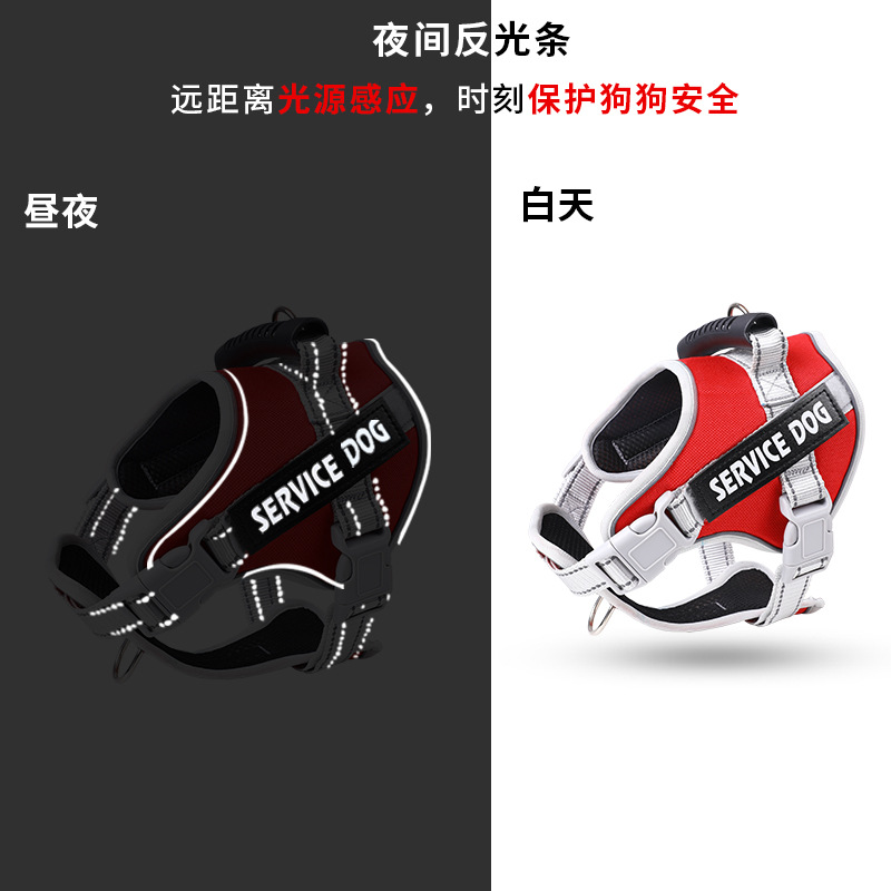 狗狗牵引实物图