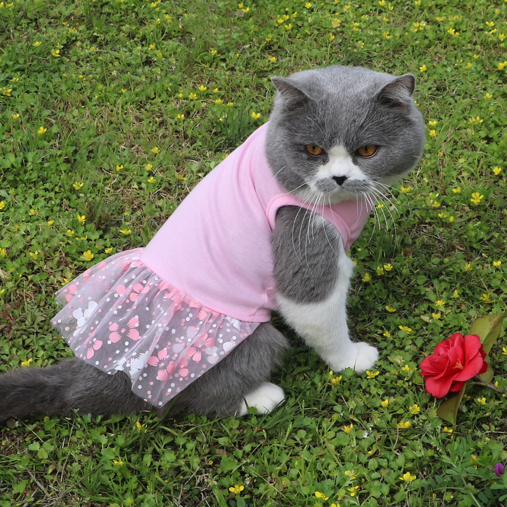 T猫狗春夏T恤裙新款宠物猫咪裙小狗猫咪网纱裙子舒适狗裙子猫衣服详情10