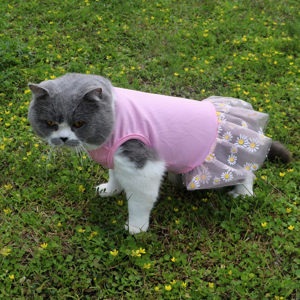 T猫狗春夏T恤裙新款宠物猫咪裙小狗猫咪网纱裙子舒适狗裙子猫衣服详情8