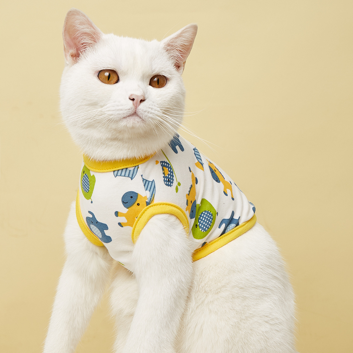 宠物服装用品/宠物猫宠物用品/猫咪四脚衣服/宠物窝/宠物服饰细节图