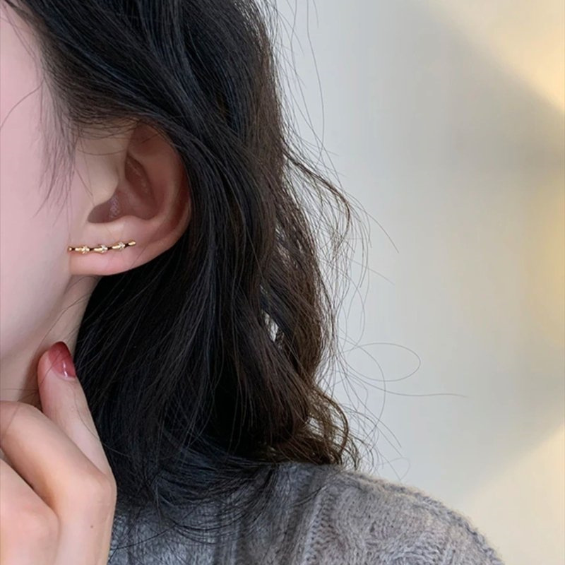 Silver needle Light Luxury pendant high-end tassel earrings 2023 New style Gentle design bamboo joint stud earrings Elegant earrings pic 2