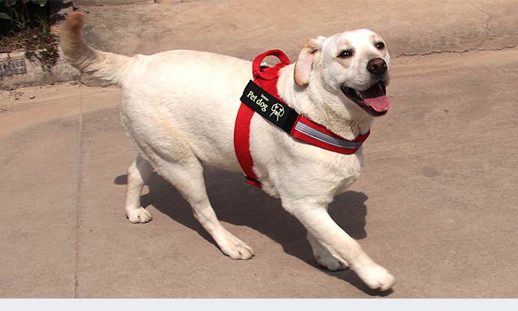 T-vest style k9 dog chest and back Golden Retriever Labrador dog leash, medium-sized large dog walking leash chest and back strap pic 11