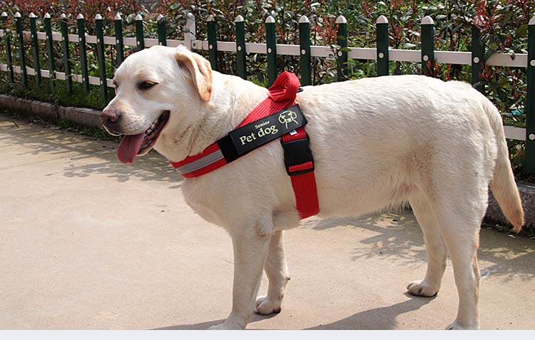T-vest style k9 dog chest and back Golden Retriever Labrador dog leash, medium-sized large dog walking leash chest and back strap pic 10