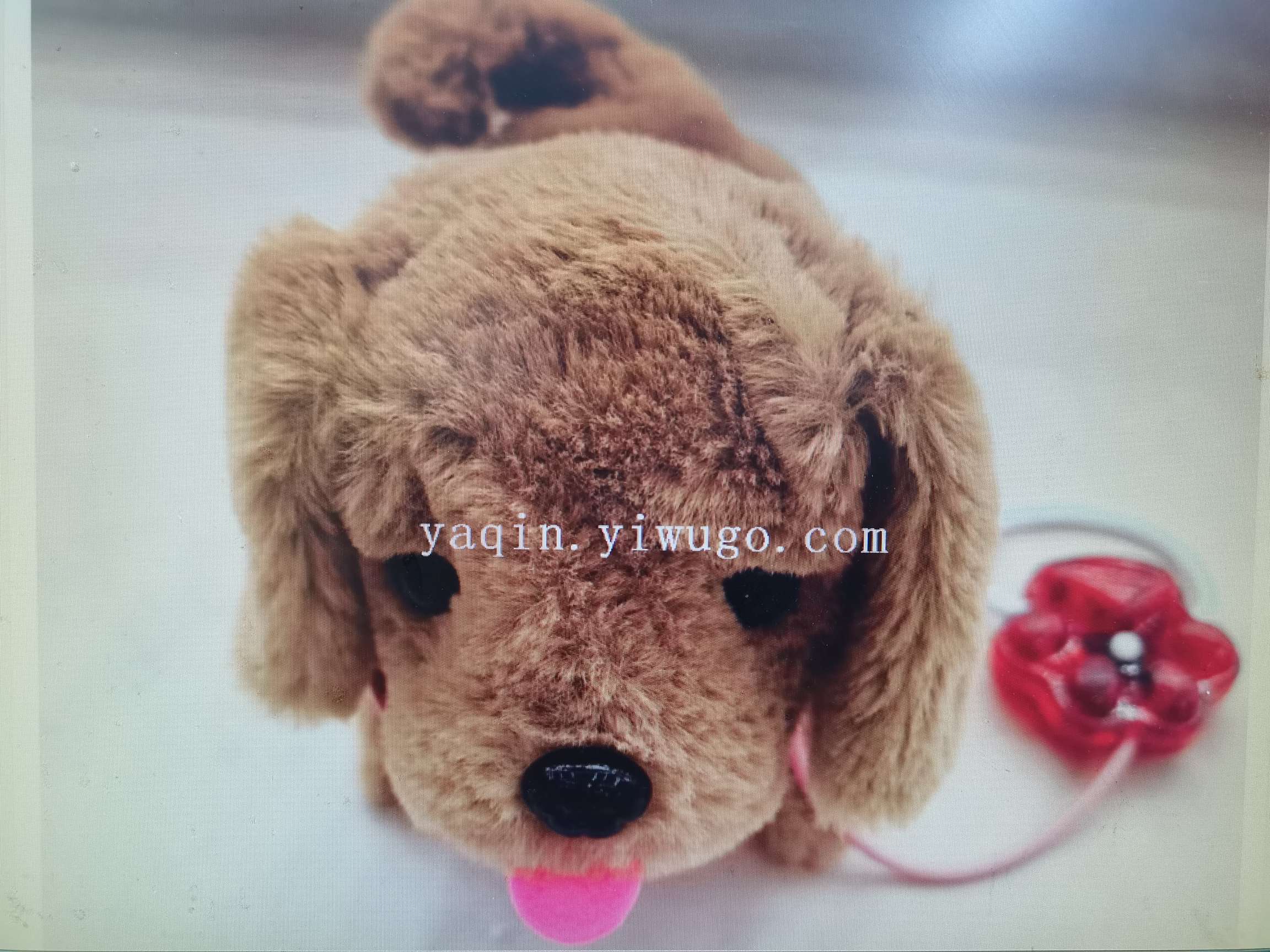 新款电动儿童毛绒玩具牵绳大狗带灯带叫声会走路摇尾巴地摊热卖厂家直销详情图7