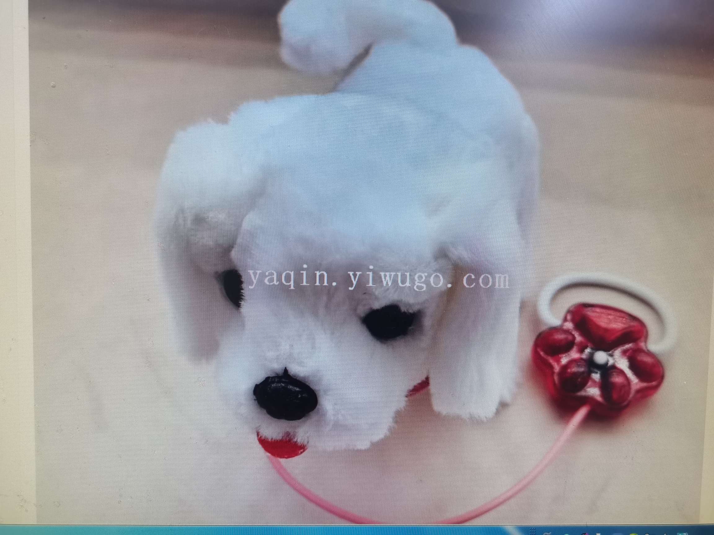 新款电动儿童毛绒玩具牵绳大狗带灯带叫声会走路摇尾巴地摊热卖厂家直销详情图5