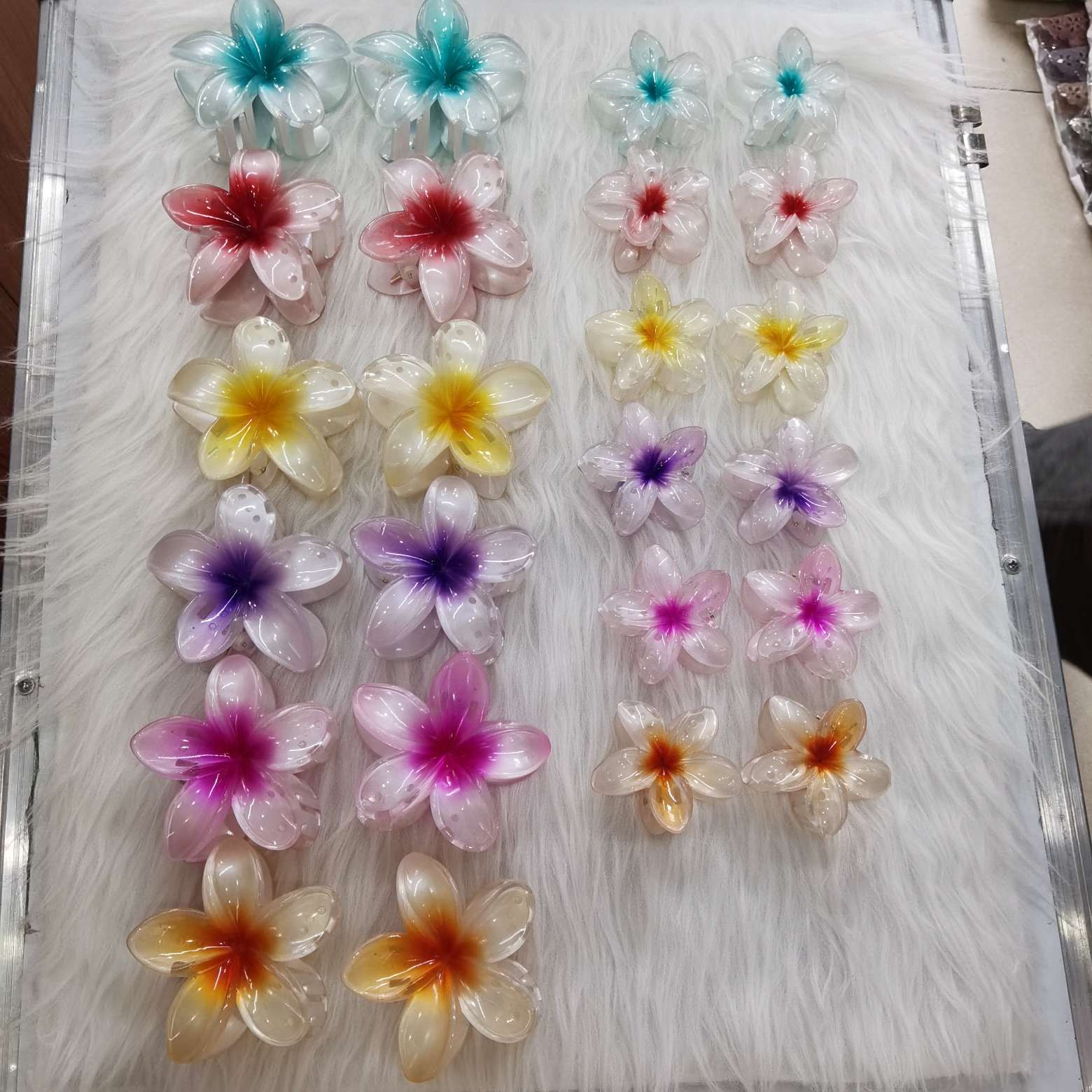 8 cm pearlescent 6-color frangipani