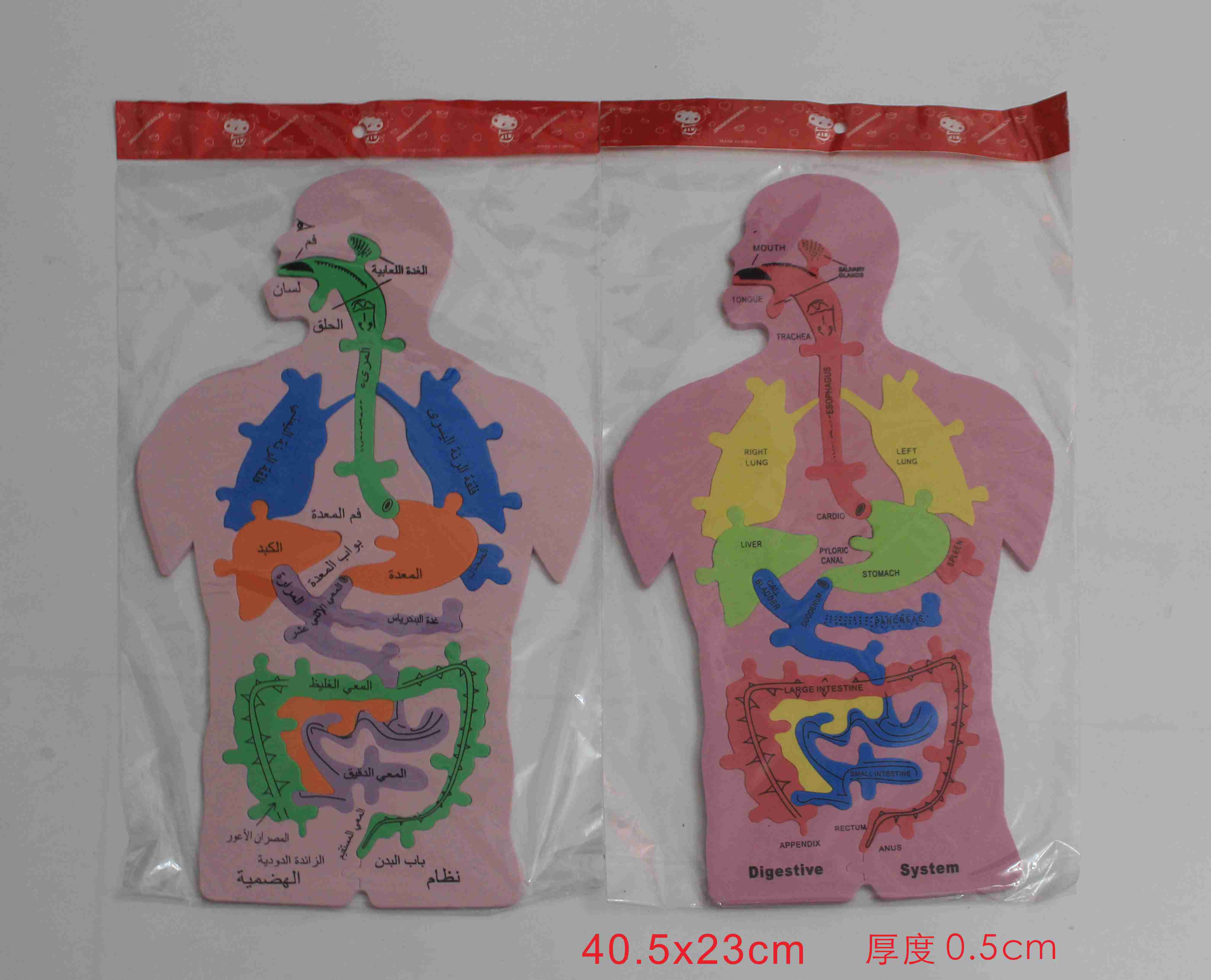 أحرف أحرف وأحرف أحجية من أحجية detail image 1