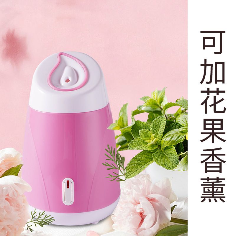 热喷蒸脸器家用洁面仪补水仪跨境毛孔清洁器美容喷雾器面部加湿器