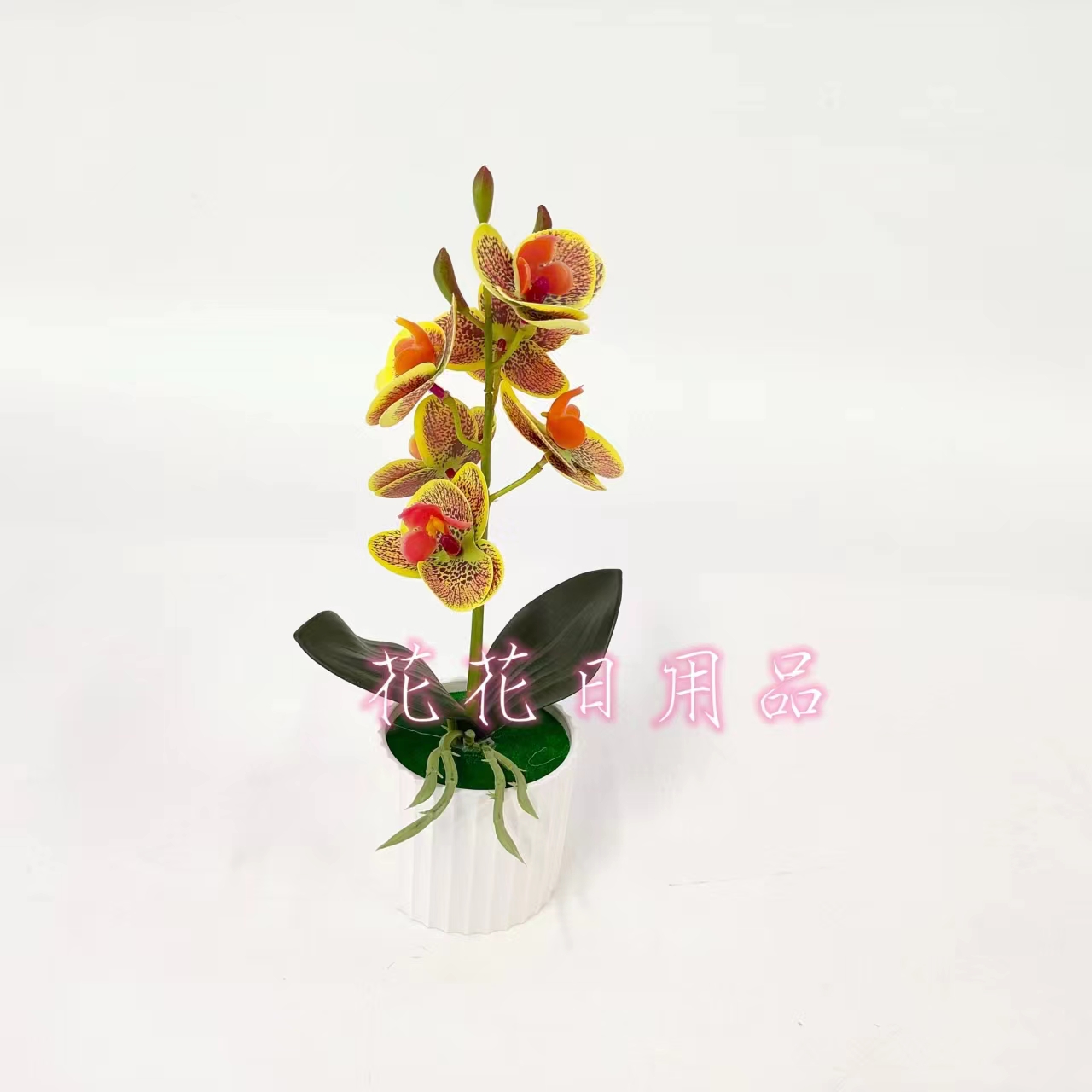 雨花石/石头/盆栽/小盆栽产品图