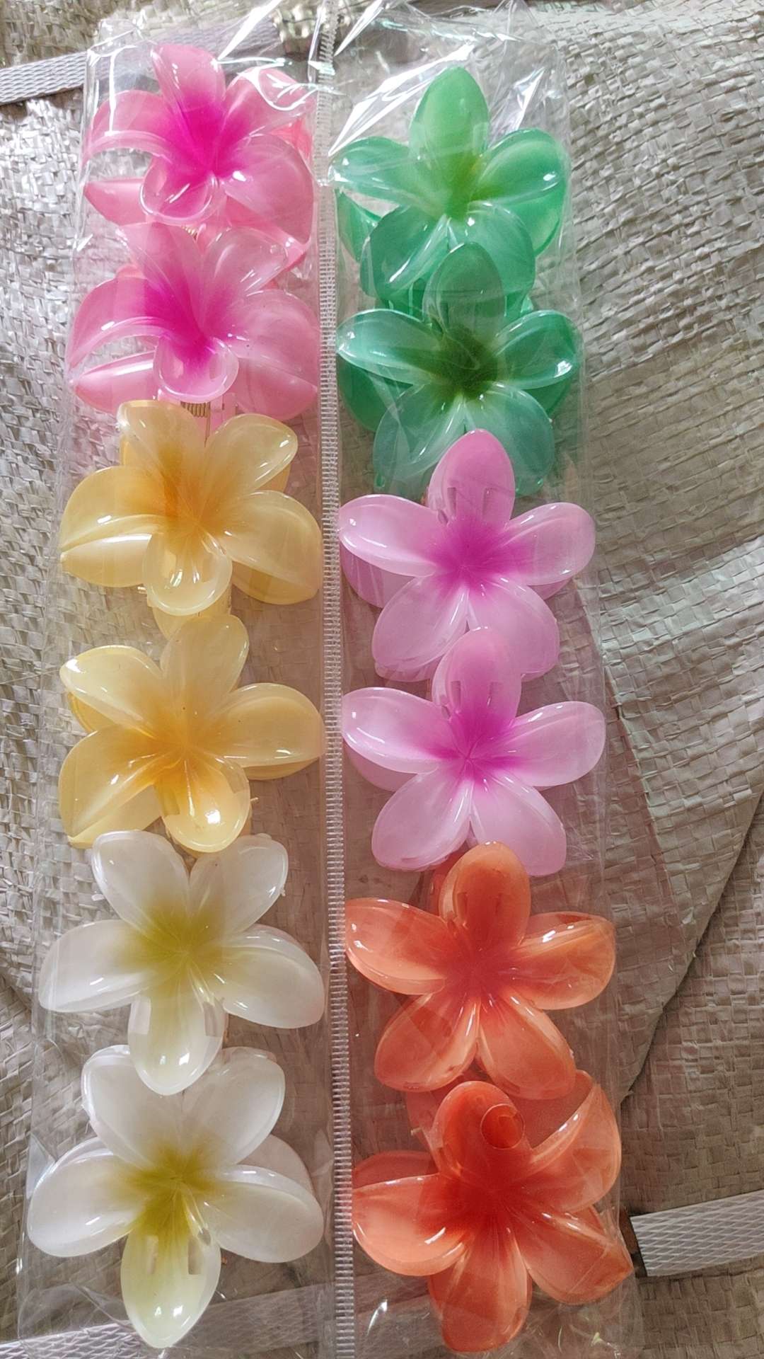 8 cm spring 6-color frangipani