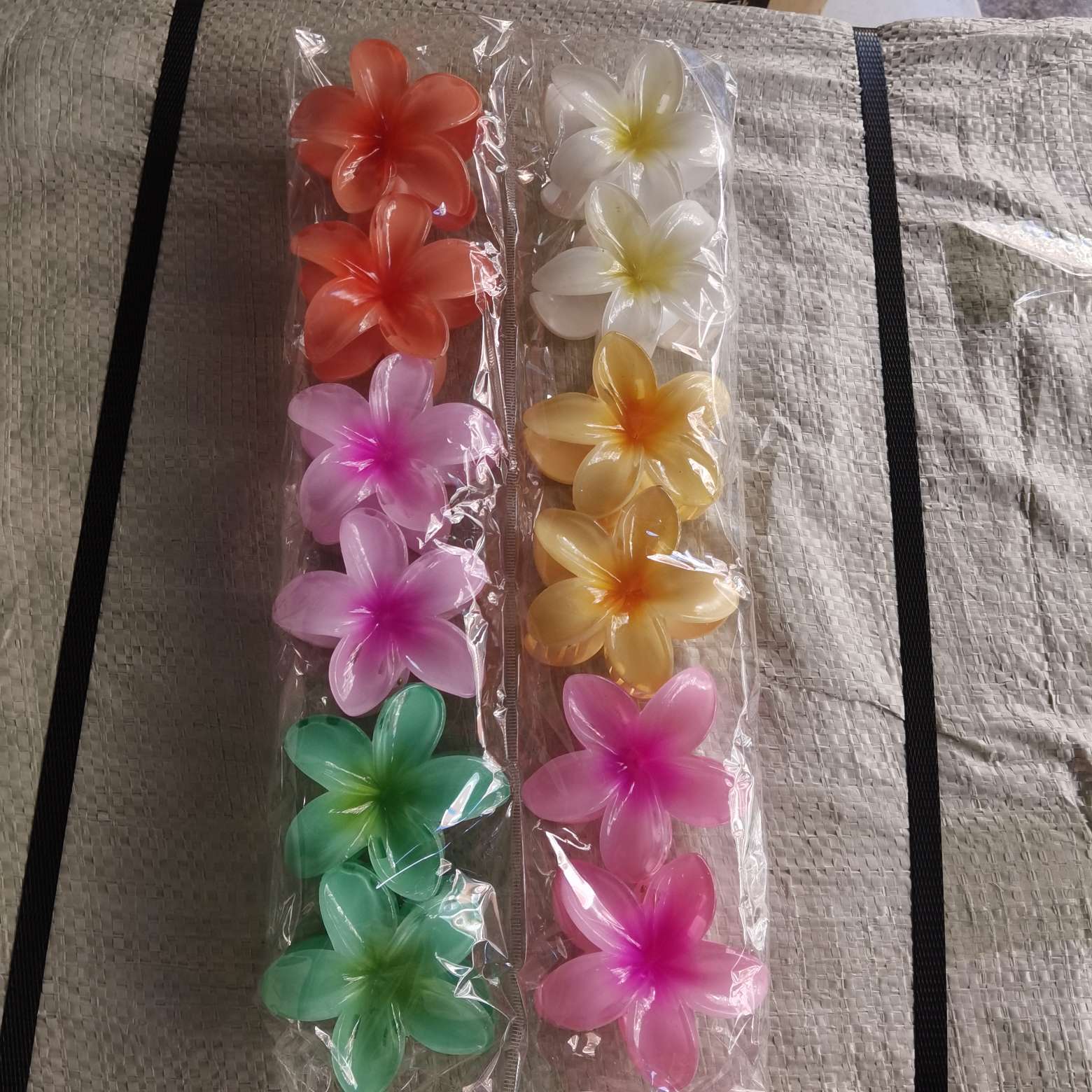 8 cm spring 6-color frangipani detail image 2