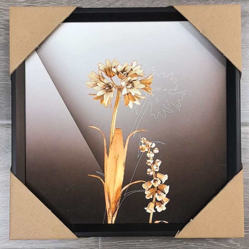 装饰画/蝴蝶标本/挂画阿拉伯/挂画装饰画/晶贝晶瓷画产品图