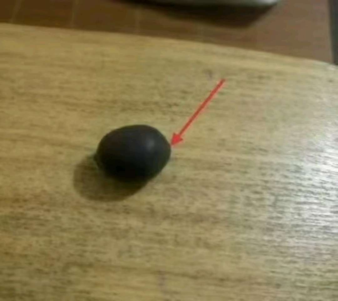 四季碗莲 碗莲种子 遇水开花四季种植 送录音广告绿植睡莲七彩荷花无土水培莲花 碗莲水培植物花卉室内花水养荷花盆栽四季碗莲详情图4