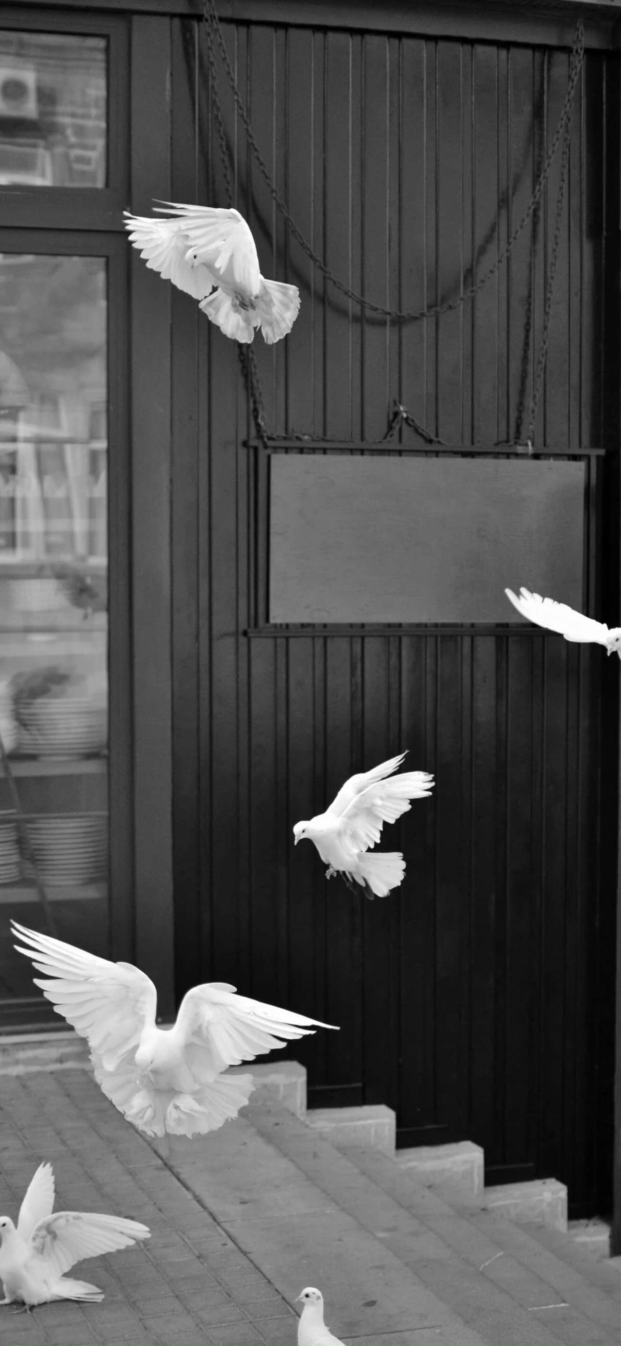 公仔模型PVC人偶 塑胶制品 环保 卡通动漫 人像 仿真 日漫 cos儿童玩具潮玩白底实物图