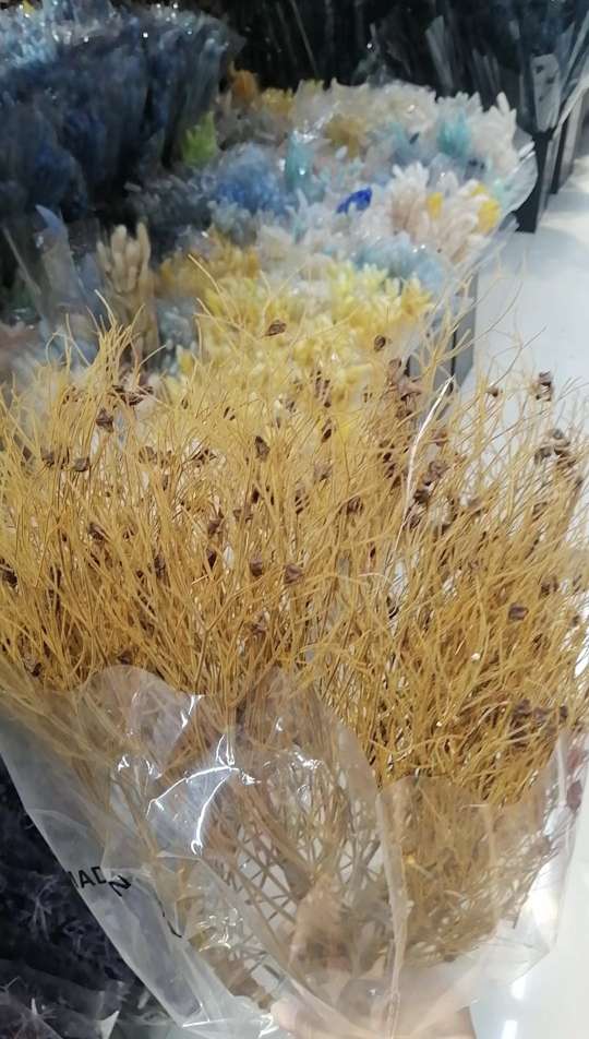 梦幻草   染色植物  家居用品   装饰用品  礼品  永生花    20240904详情图8