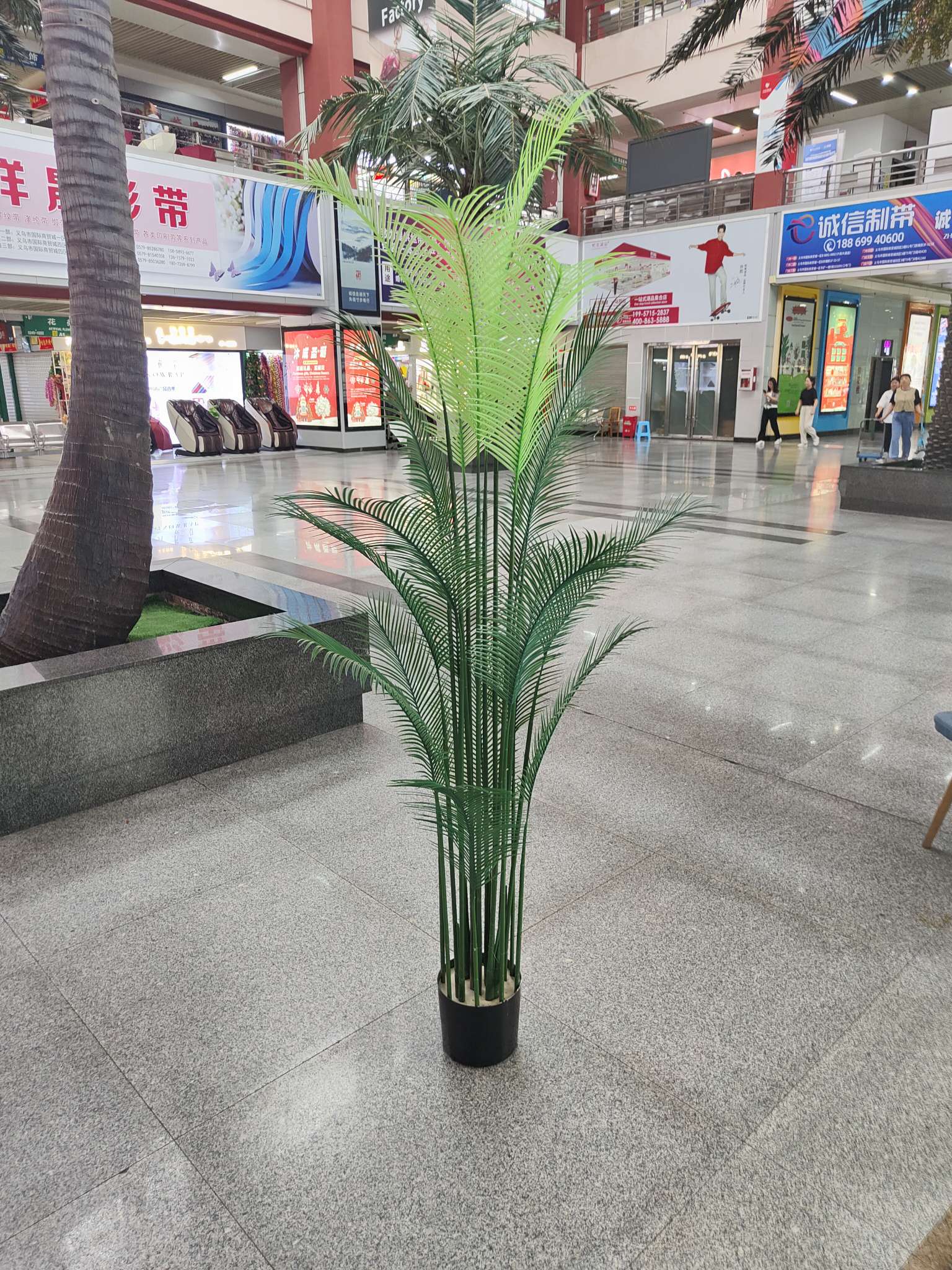 仿真植物办公室文化装饰 人造植物摆件仿真园艺美 散尾葵不带盆