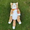 New cross-border doll bags, cat and dog simulation pet backpacks, touch-sensing singing electric plush bags, plush toys, small animal plush toys, dolls Application Scenario