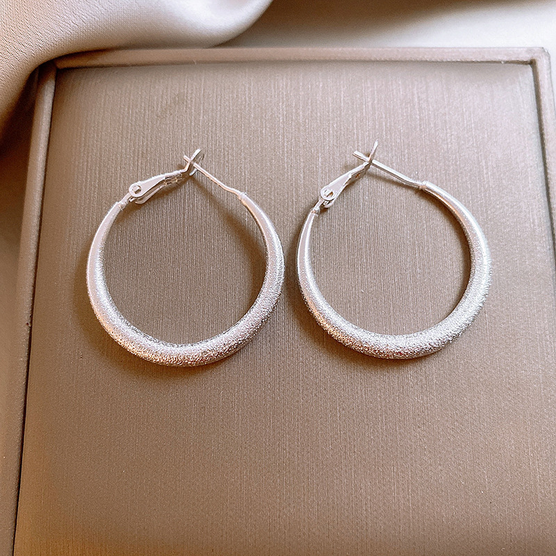 S925银针铜镀纯银磨砂质感耳圈女轻奢优雅高级感网红出勤设计感银耳环