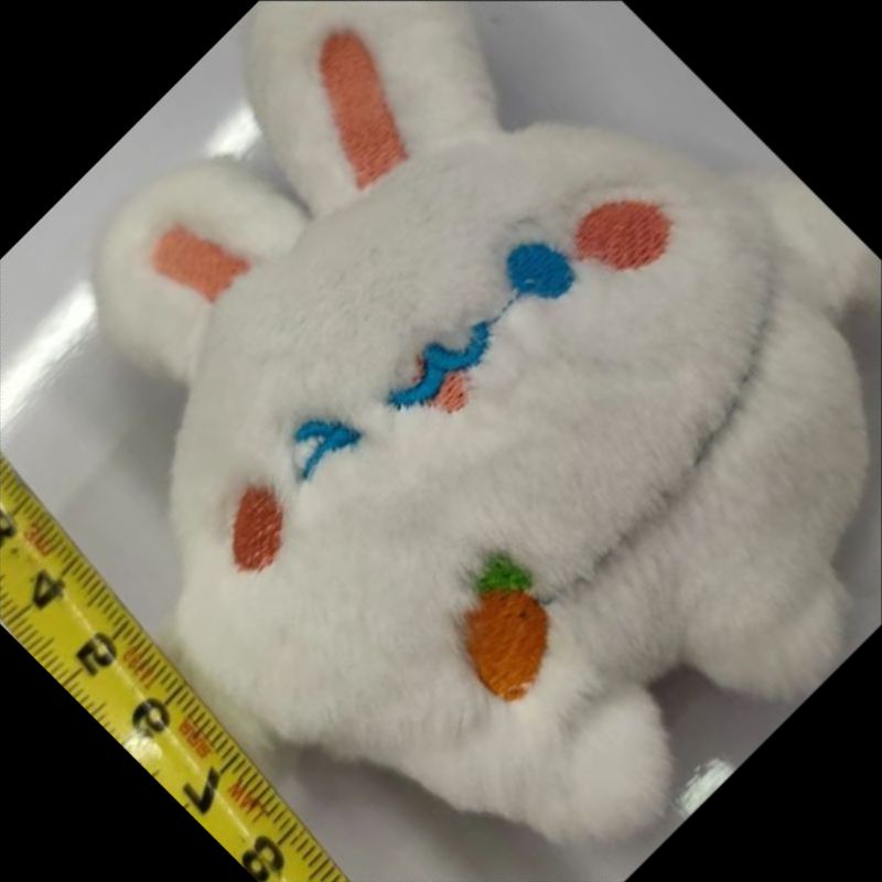 毛绒玩具/混批毛绒玩具挂件/吱吱叫/毛绒挂件/卡皮巴拉钥匙扣产品图