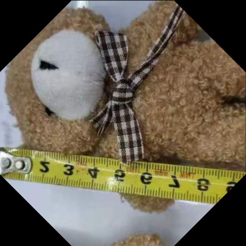 毛绒玩具/混批毛绒玩具挂件/吱吱叫/毛绒挂件/卡皮巴拉钥匙扣细节图