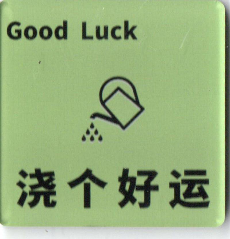 Acrylic fridge magnets. - Good luck