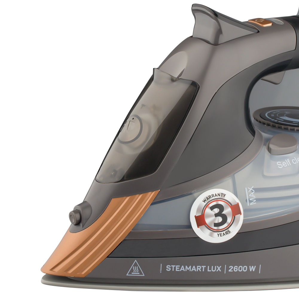 RAF European standard automatic steam iron, household handheld fully automatic steam iron ironing machine R.1198 pic 9