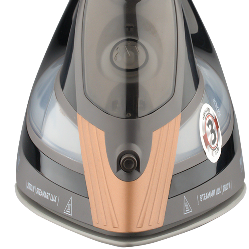 RAF European standard automatic steam iron, household handheld fully automatic steam iron ironing machine R.1198 pic 11