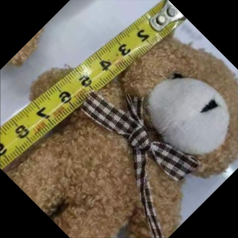 毛绒玩具/混批毛绒玩具挂件/吱吱叫/毛绒挂件/卡皮巴拉钥匙扣产品图