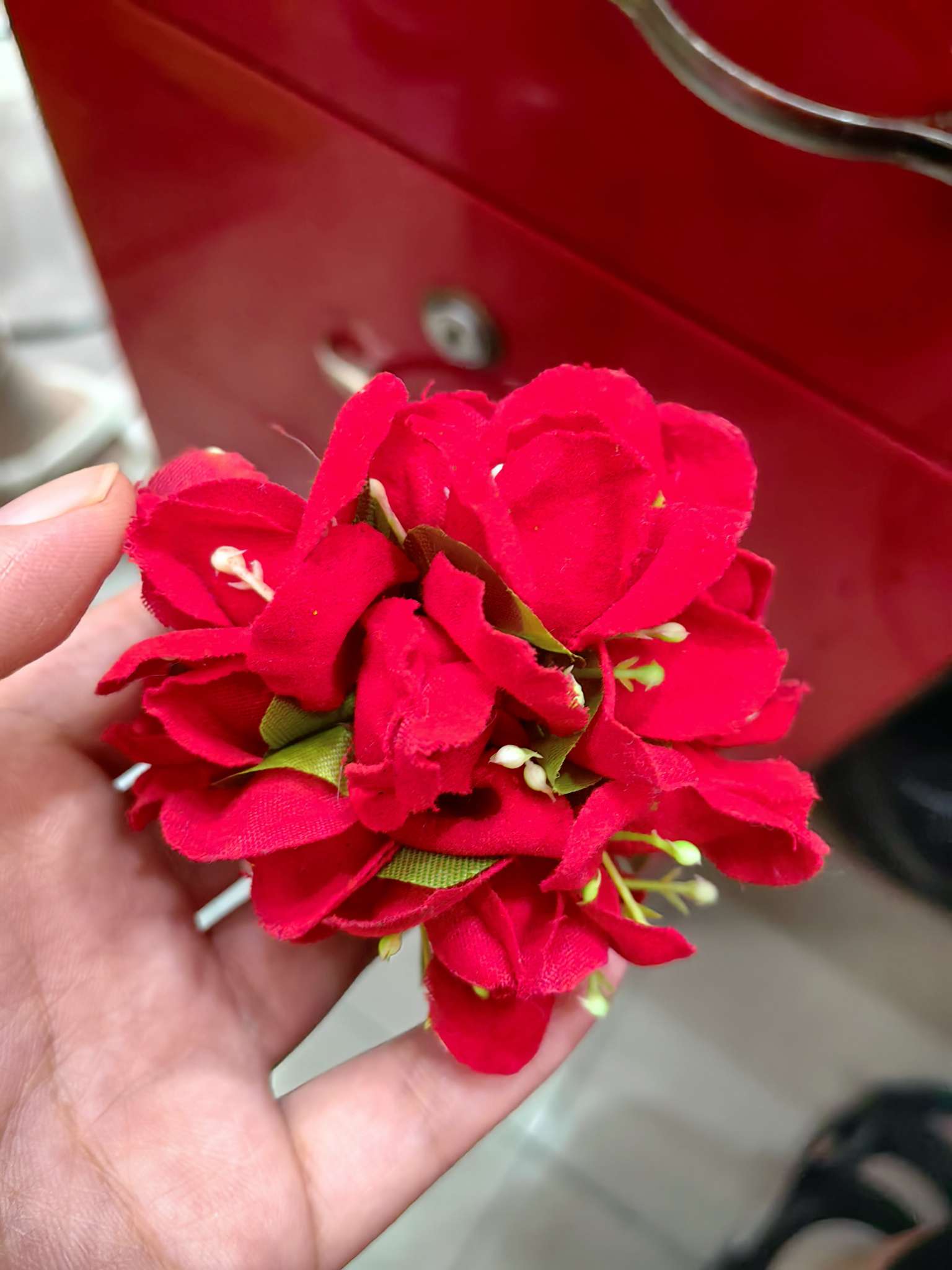 الأزهار الصغيرة، رؤوس الصغيرة، المهرجانات، المهرجانات details Picture