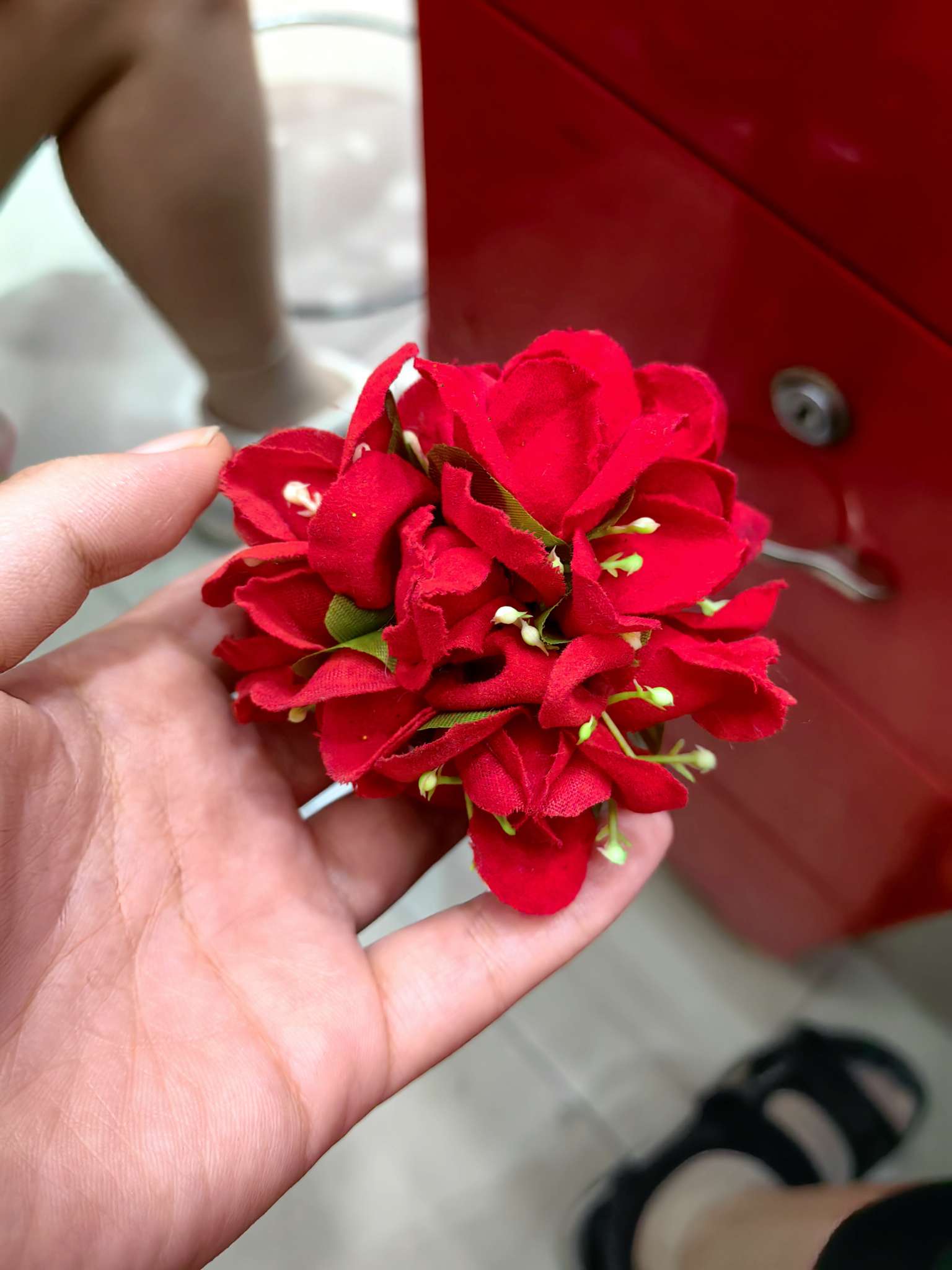 الأزهار الصغيرة، رؤوس الصغيرة، المهرجانات، المهرجانات detail image 2