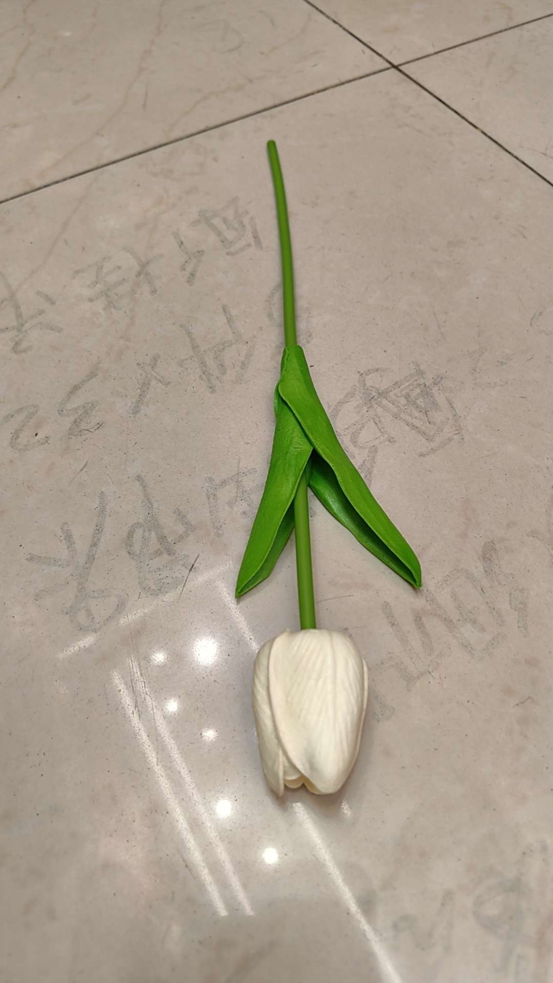 阿文钟塑料工艺品系列 小黄人帆布画 风灯竹圈扇框 精致礼品工艺品 收藏品家居装饰品