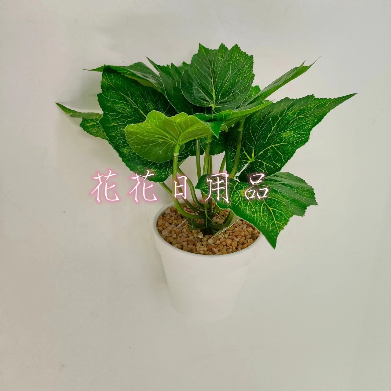 雨花石/石头/盆栽产品图