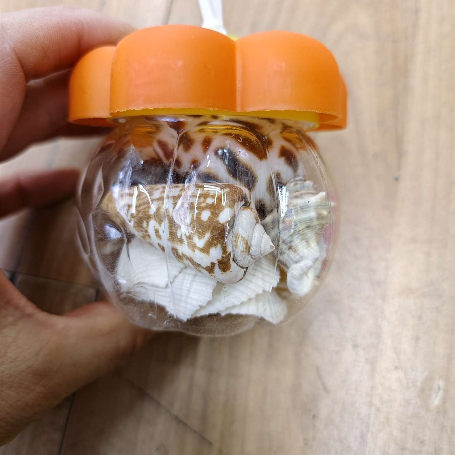 天然贝壳装饰小南瓜产品图