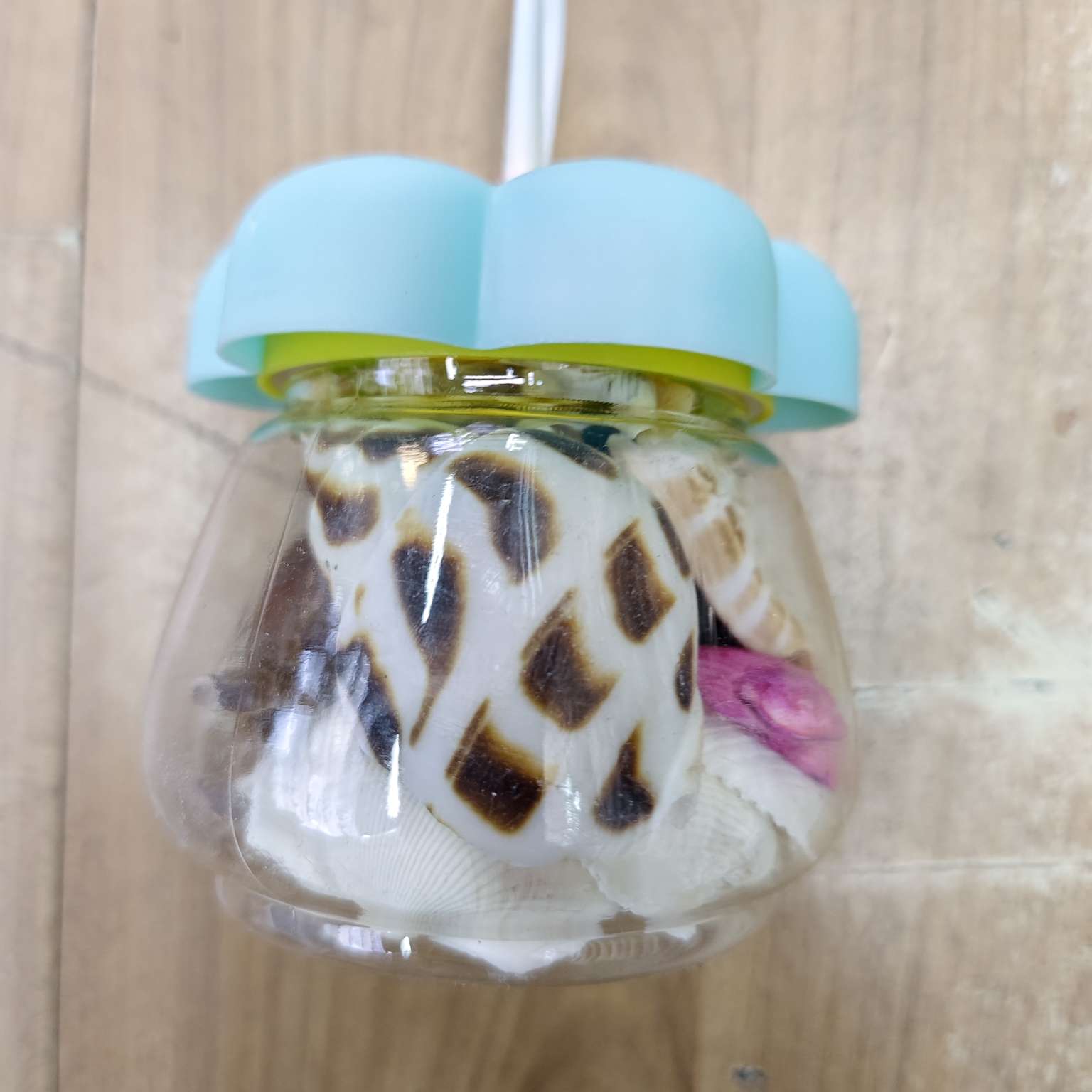 天然贝壳装饰小南瓜细节图