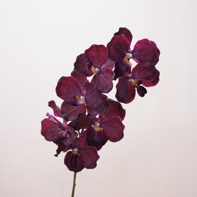 鸡蛋花泡沫花仿真花瓣 圣诞假花装饰 山茶花配件搞钱 创意家居装饰品 假花艺术品