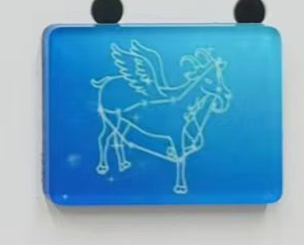 Acrylic Refrigerator Sticker - Zodiac Series - Capricorn