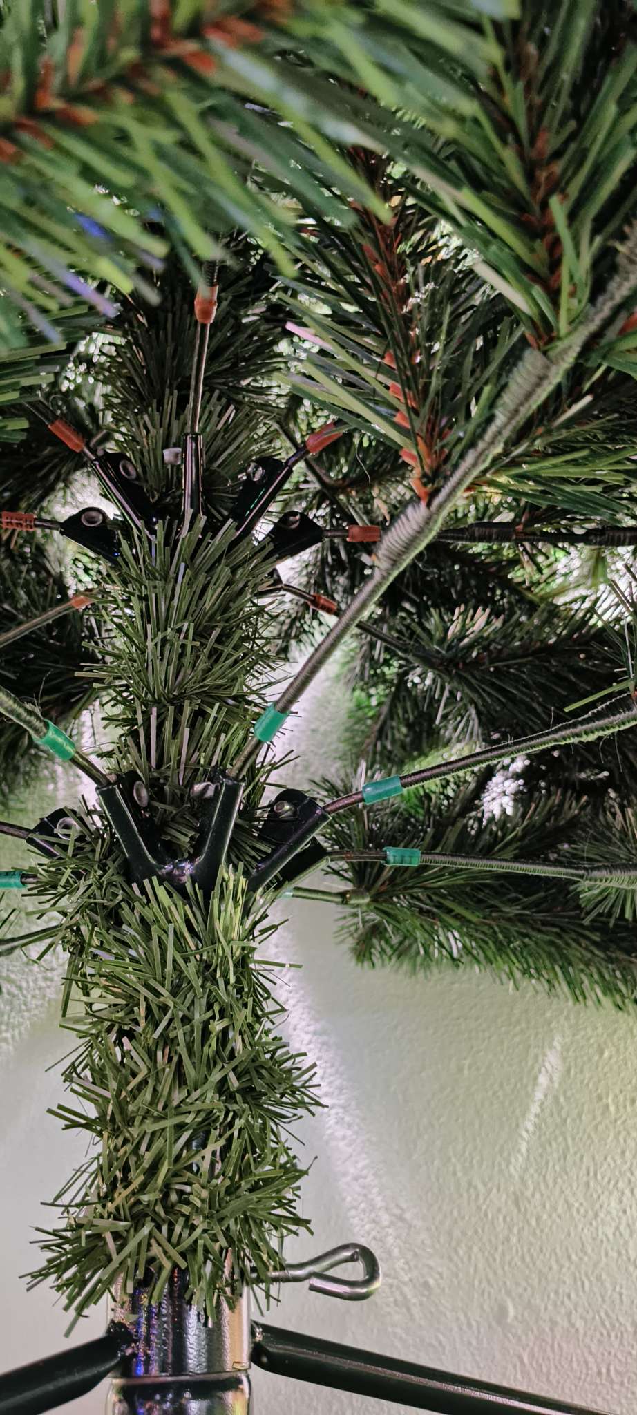 植物工艺品实物图