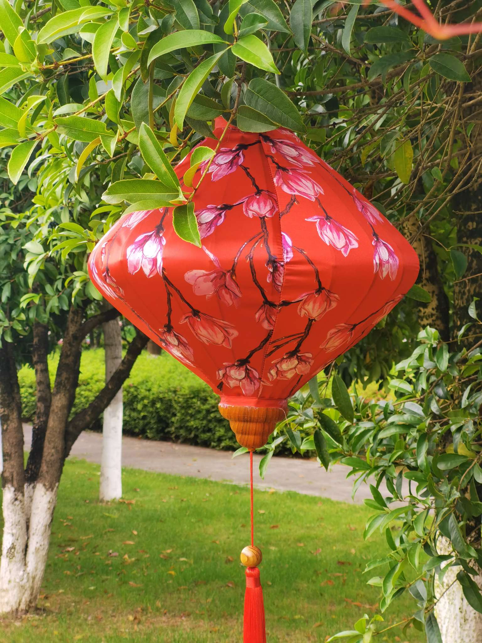 12寸富贵水仙花，适用于古镇古街，旅游景区产品图