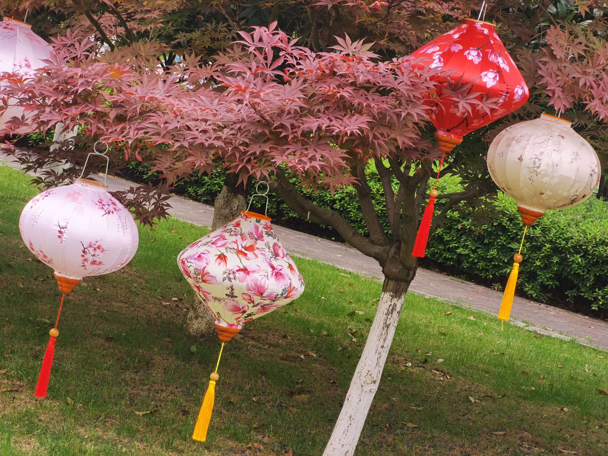 12寸富贵水仙花，适用于古镇古街，旅游景区详情图3