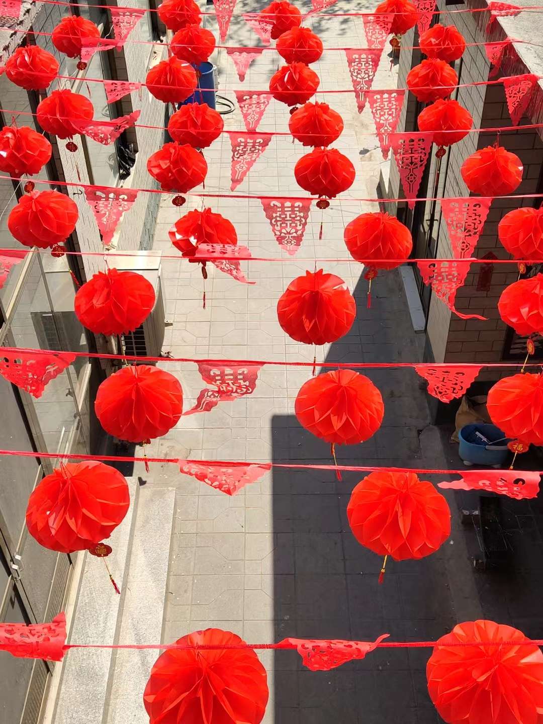 纸灯笼  纸塑灯笼 菠萝灯笼 新年灯笼白底实物图