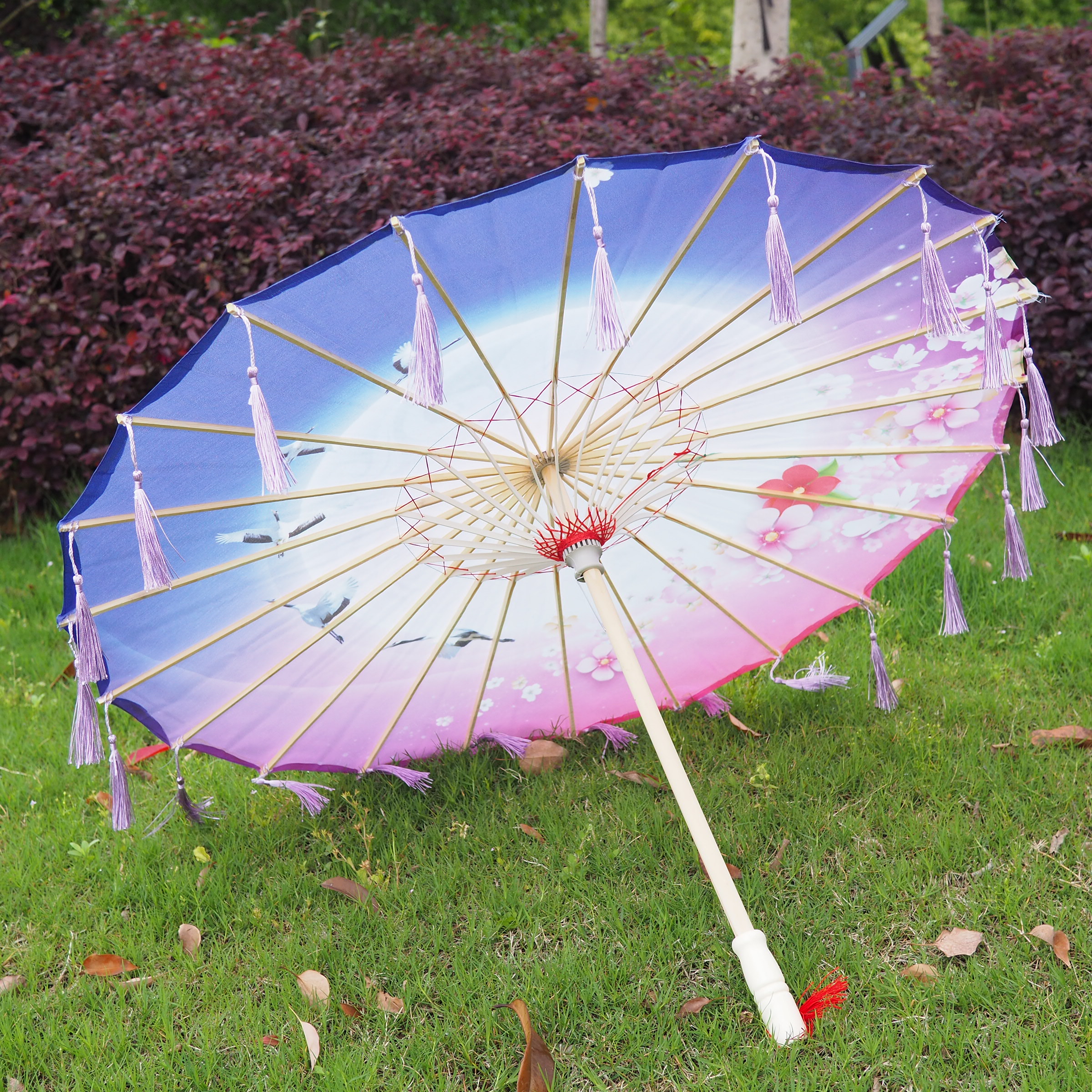 印花绸布伞演出流苏伞古装汉服拍照道具伞舞蹈伞古典工艺伞装饰伞白底实物图