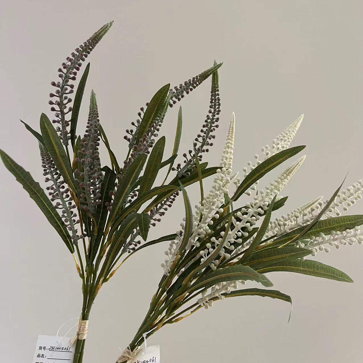 朱小丽白底实物图