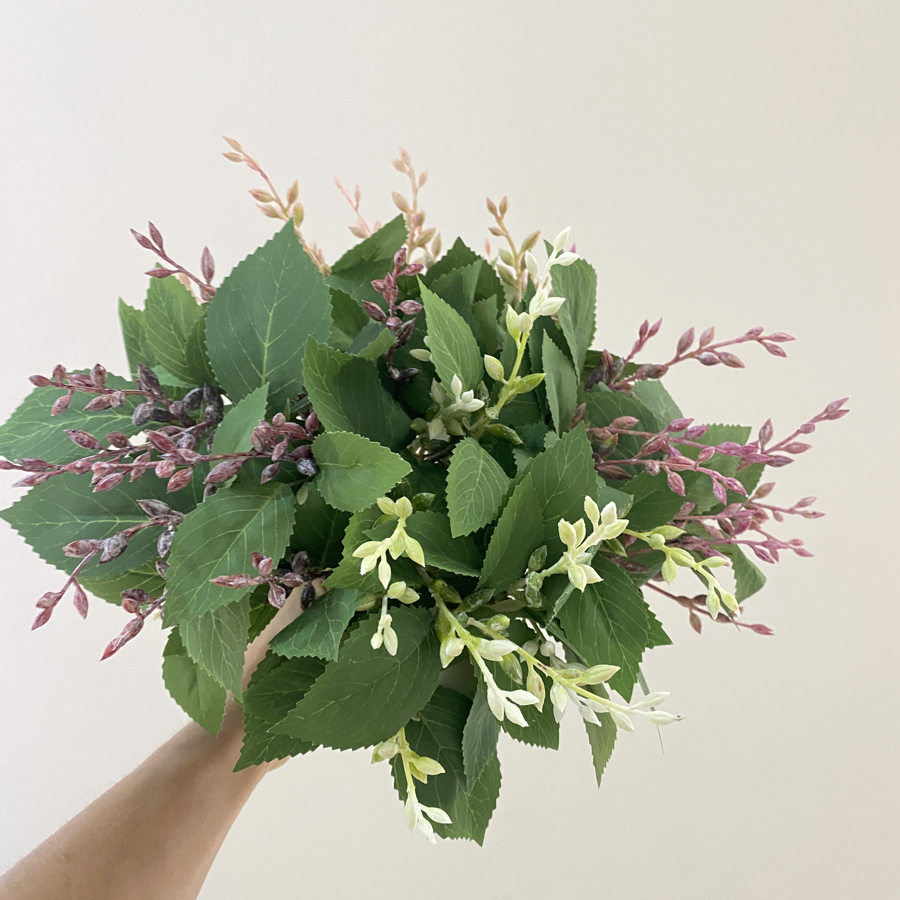 朱小丽白底实物图