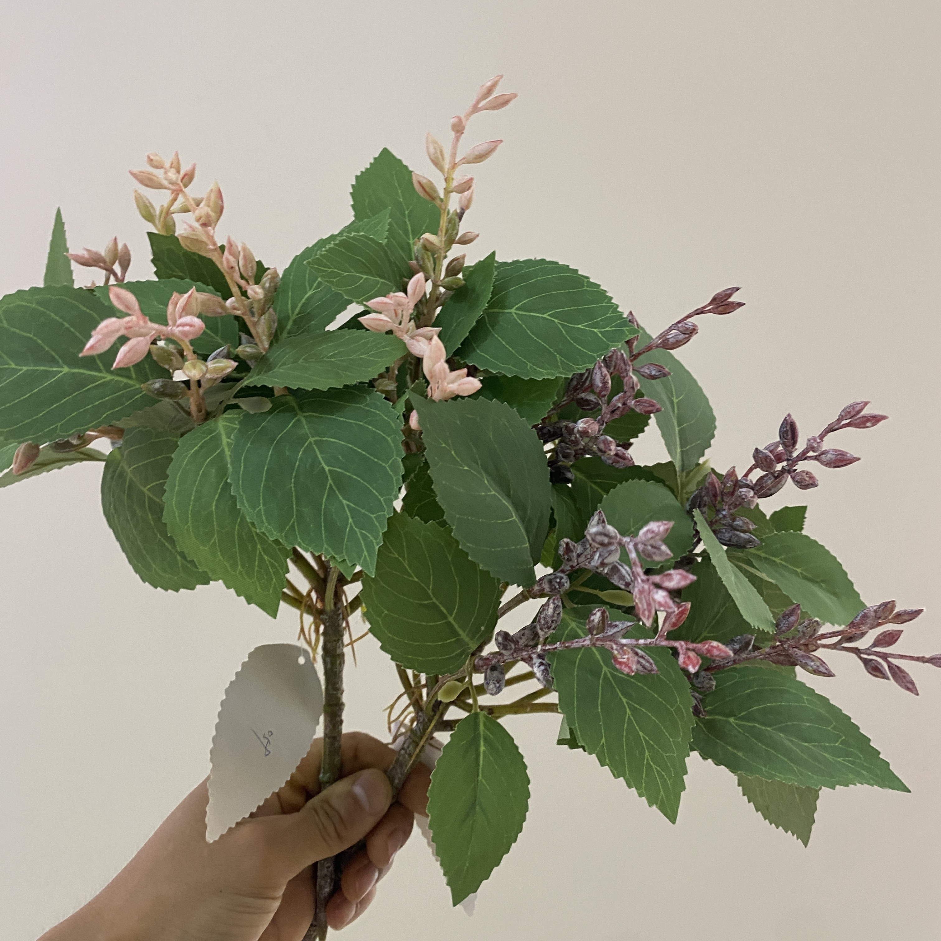 其他分类实物图