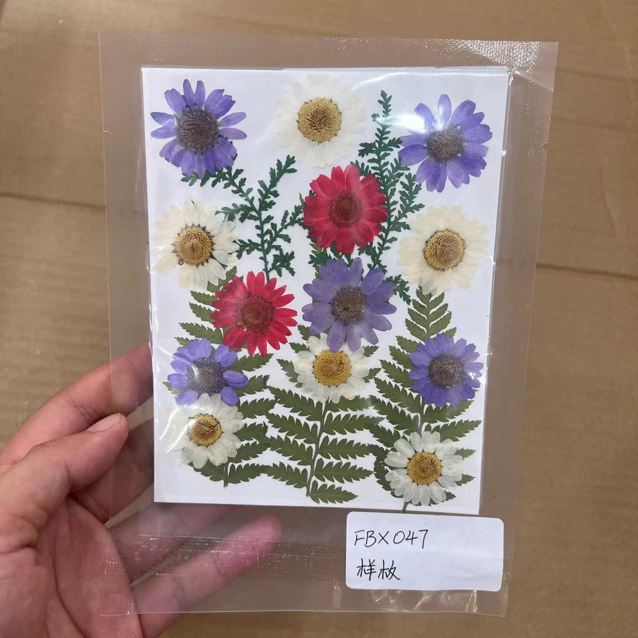 干花压花pressed flower亚马逊爆款压花书签滴胶相框手机壳植物标本花材包