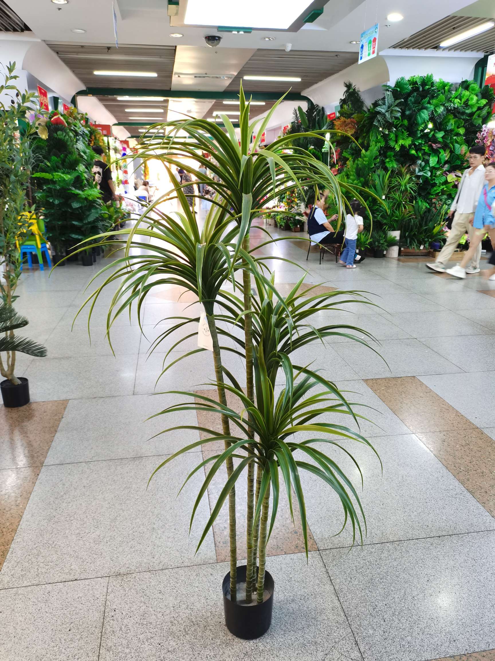 仿真植物实物图