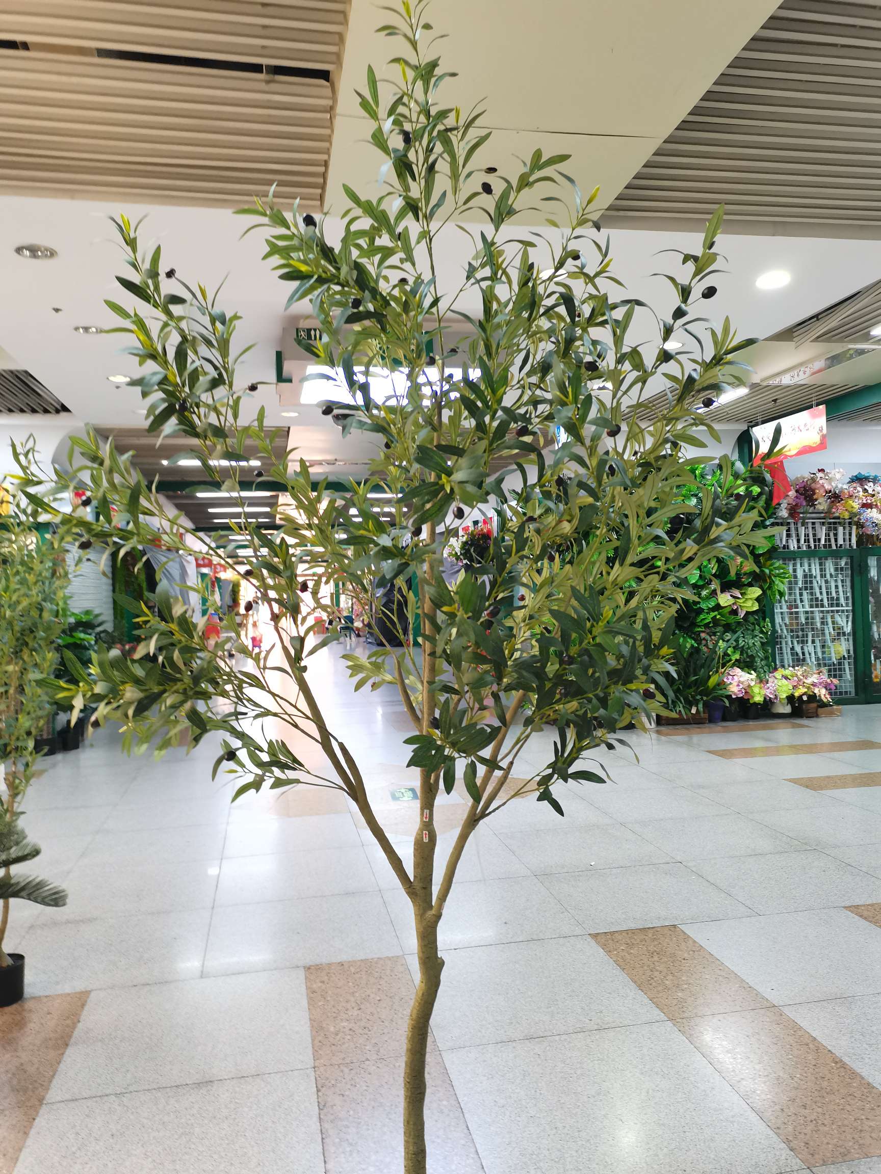 仿真植物实物图