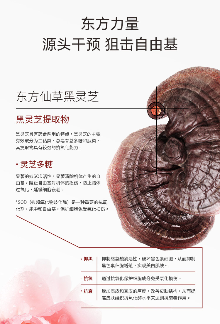 倾芬科技护肤细胞净化套盒详情10
