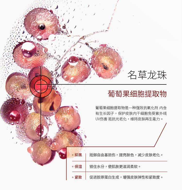 倾芬科技护肤细胞净化套盒详情7